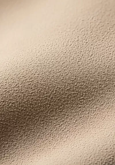 Imagen PNG para descargar